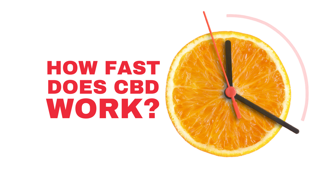 How Fast Does CBD Work