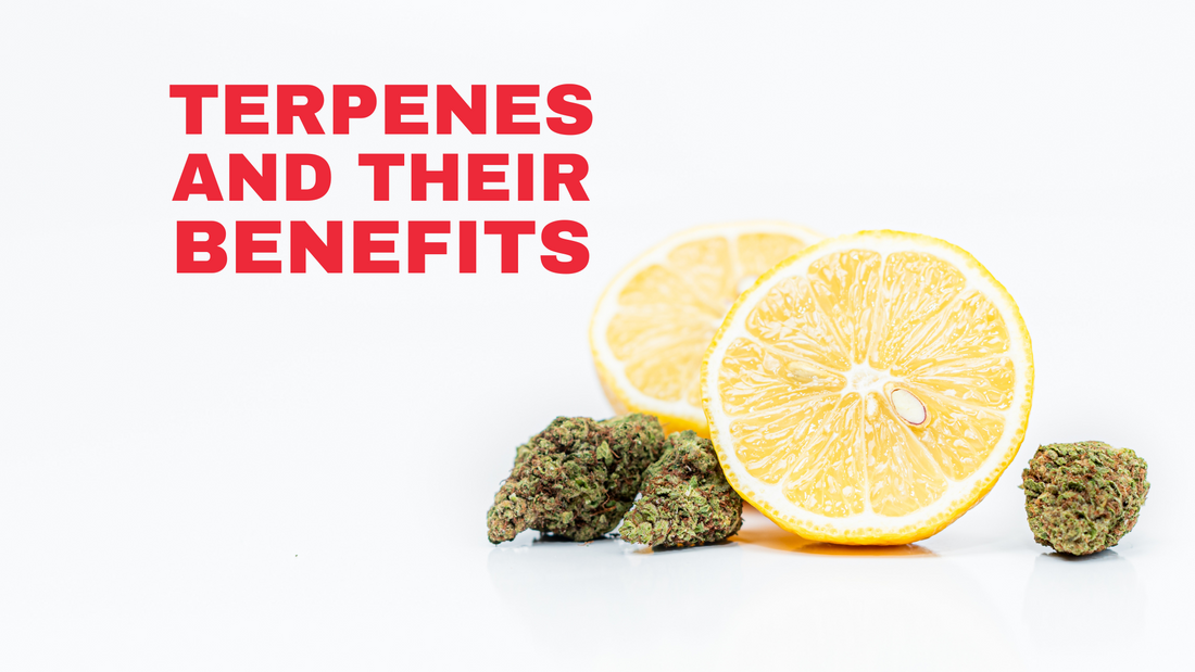 Terpenes: Their Function and Effects