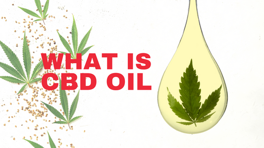 Understanding CBD Oil: What It Is and Why It's So Popular