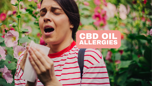 CBD Oil for Hay Fever Can Help with Seasonal Allergies