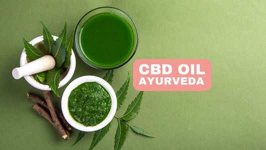 CBD and Ayurveda Balance of Doshas with Cannabidiol