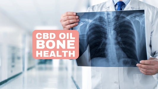 CBD oil and bone healing. What does the research say?