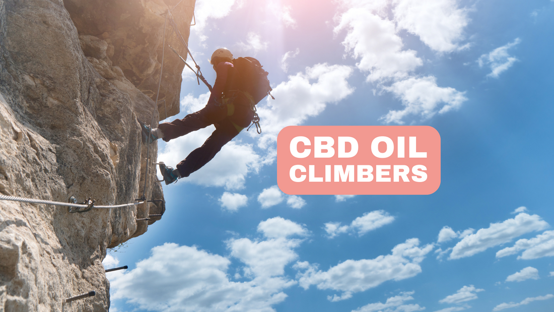 CBD Oil for Climbers The Influence of Cannabidiol on Grip and Muscle Fatigue
