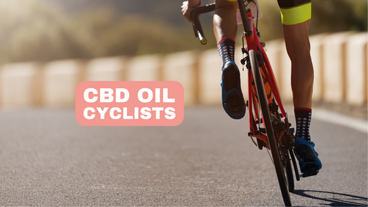 CBD Oil for Cyclists Improved Endurance and Muscle Recovery