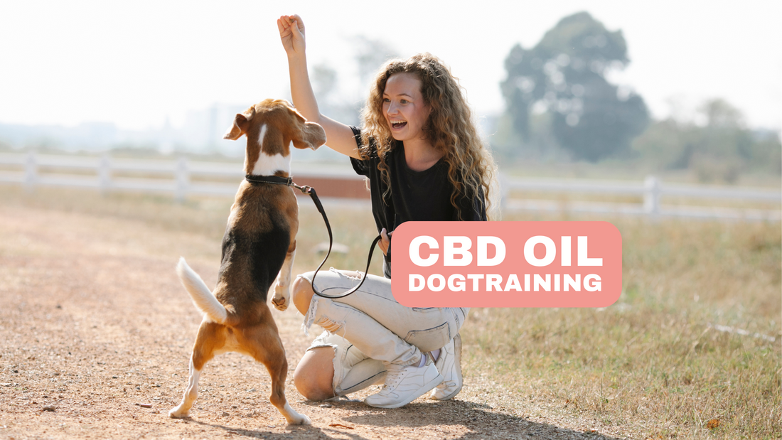 CBD Oil and Dog Training The Potential of CBD for Behavioral Problems in Dogs