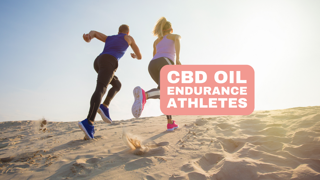 CBD Oil and Endurance Athletes Cannabidiol Optimizes Nutritional Absorption and Performance