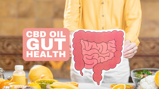 The Influence of CBD Oil on Digestive Problems and Gut Health