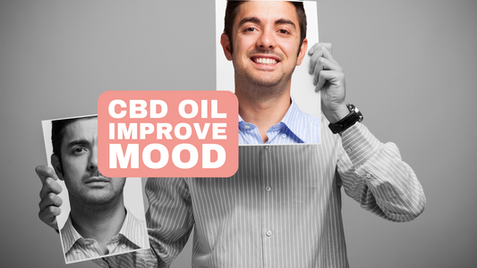 Terpenes in CBD for Mood Enhancement A Natural Path to Happiness