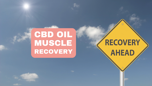 Cbd Oil For Muscles