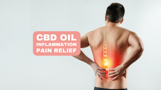 Terpenes in CBD for Anti-Inflammation A Holistic Solution for Pain Management