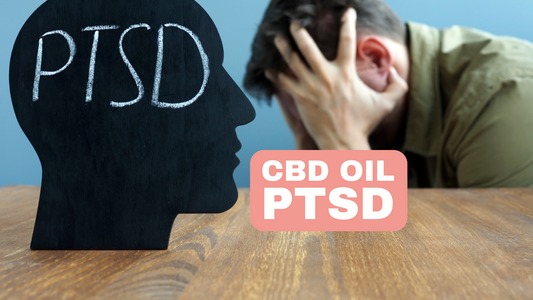 CBD Oil for Post-Traumatic Stress Disorder PTSD Recovery from Traumas