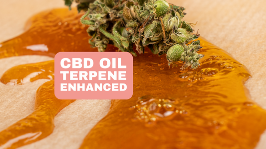 How terpenes enhance the benefits of CBD oil