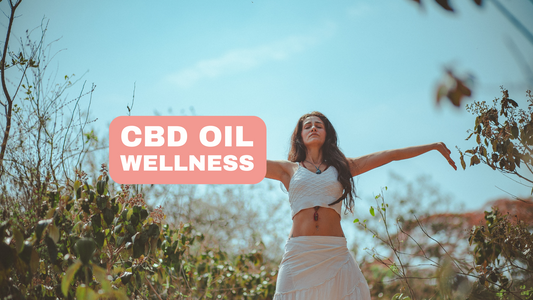 Different Terpenes and Their Unique Effects on CBD Wellbeing